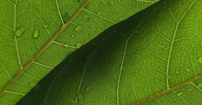 Forma-Skin Tightening